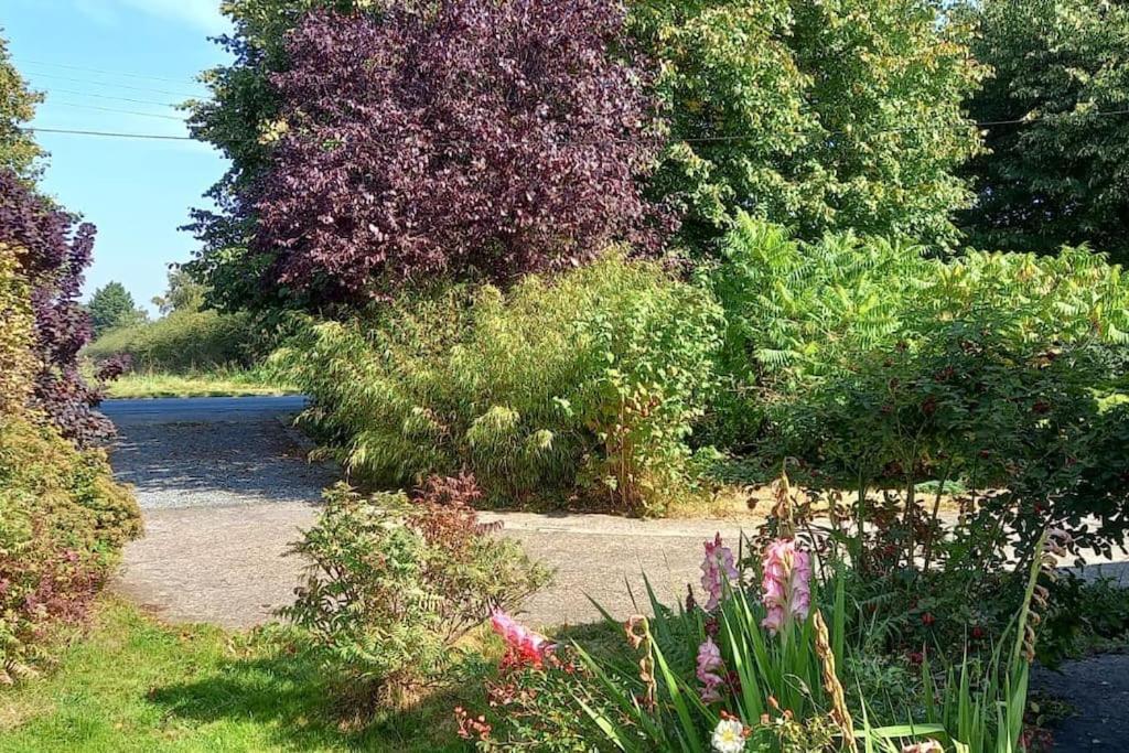 Millfields Cottage And Garden Goxhill  Екстер'єр фото